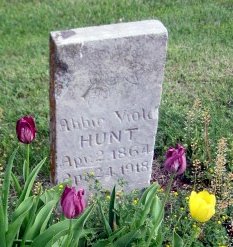 CHATFIELD Abbie Viola 1964-1918 grave.jpg